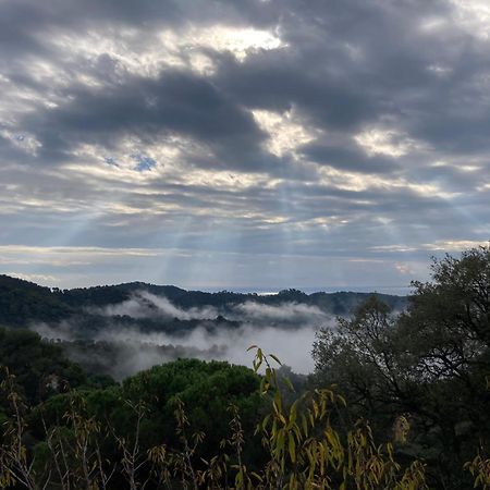 Sant Cebrià de Vallalta Casa Con Vista Y Jardin, A 20' De La Playaヴィラ エクステリア 写真