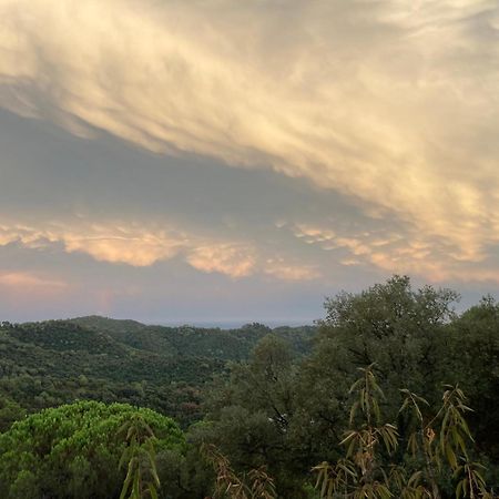 Sant Cebrià de Vallalta Casa Con Vista Y Jardin, A 20' De La Playaヴィラ エクステリア 写真