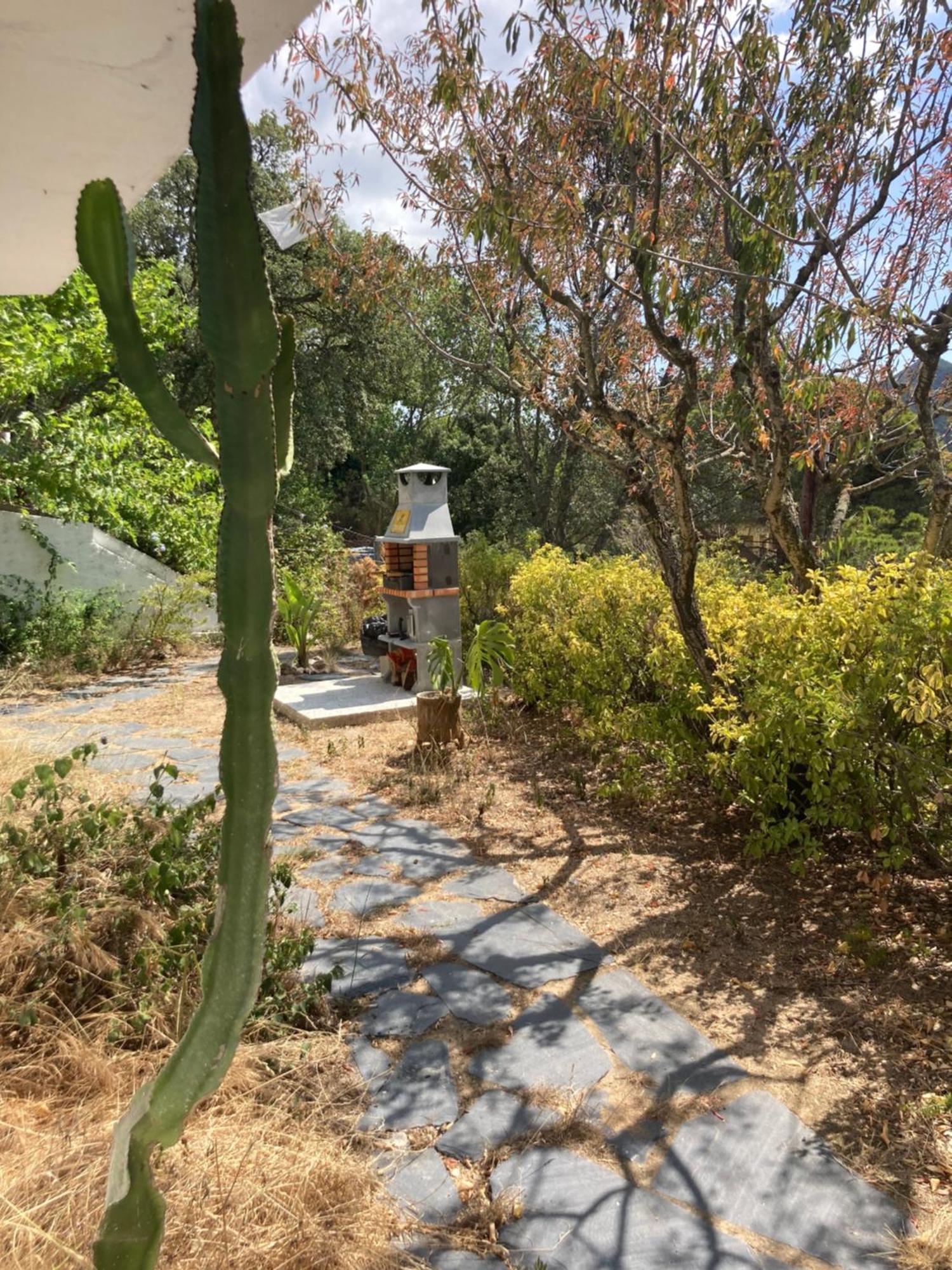 Sant Cebrià de Vallalta Casa Con Vista Y Jardin, A 20' De La Playaヴィラ エクステリア 写真